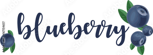 Blueberry vector element calligraphy inscription. Hand drawn illustration. Fresh healthy summer berry.