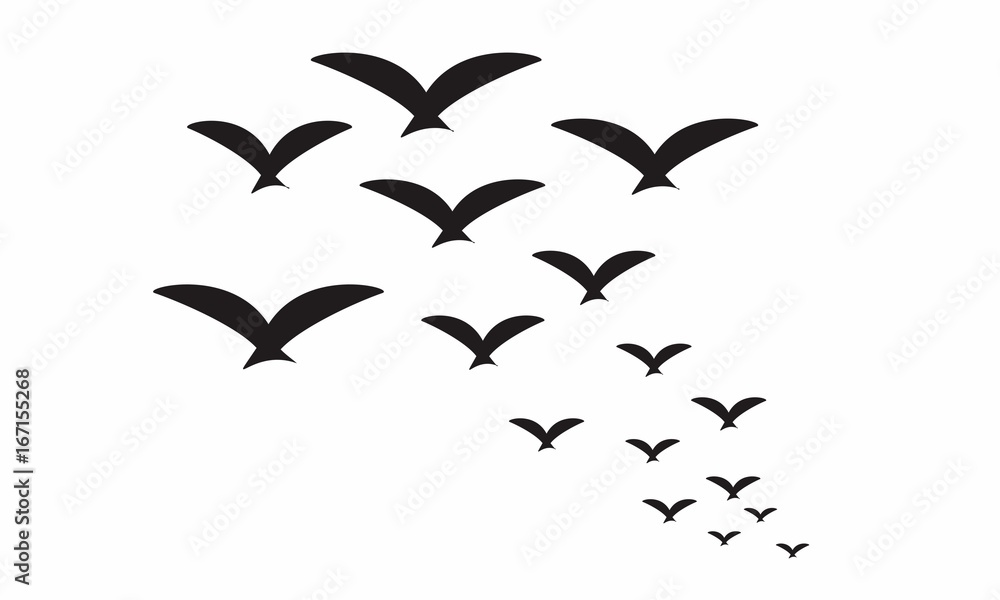 Naklejka premium Vector Seagull Icons