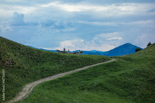 Wandern in Gais im Kanton Appenzell Ausserrhoden in der Schweiz an einem Sommertag photo