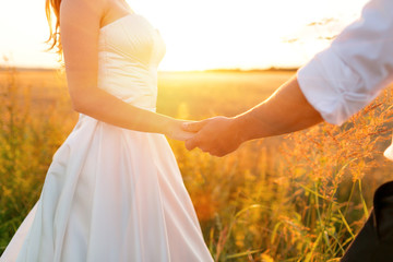 Hands of the bride and groom over the wheat field. Fairytale romantic couple of newlyweds hugging at sunset