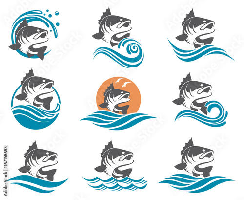 collection of bass fish with waves