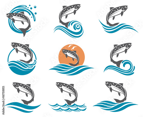collection of salmon fish images with waves