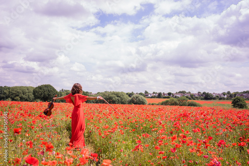 poppy fields in the summertime