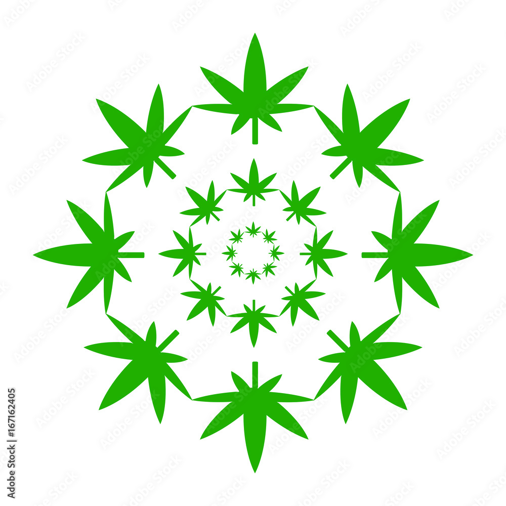 Marijuana green leaves in a circle isolated on white background