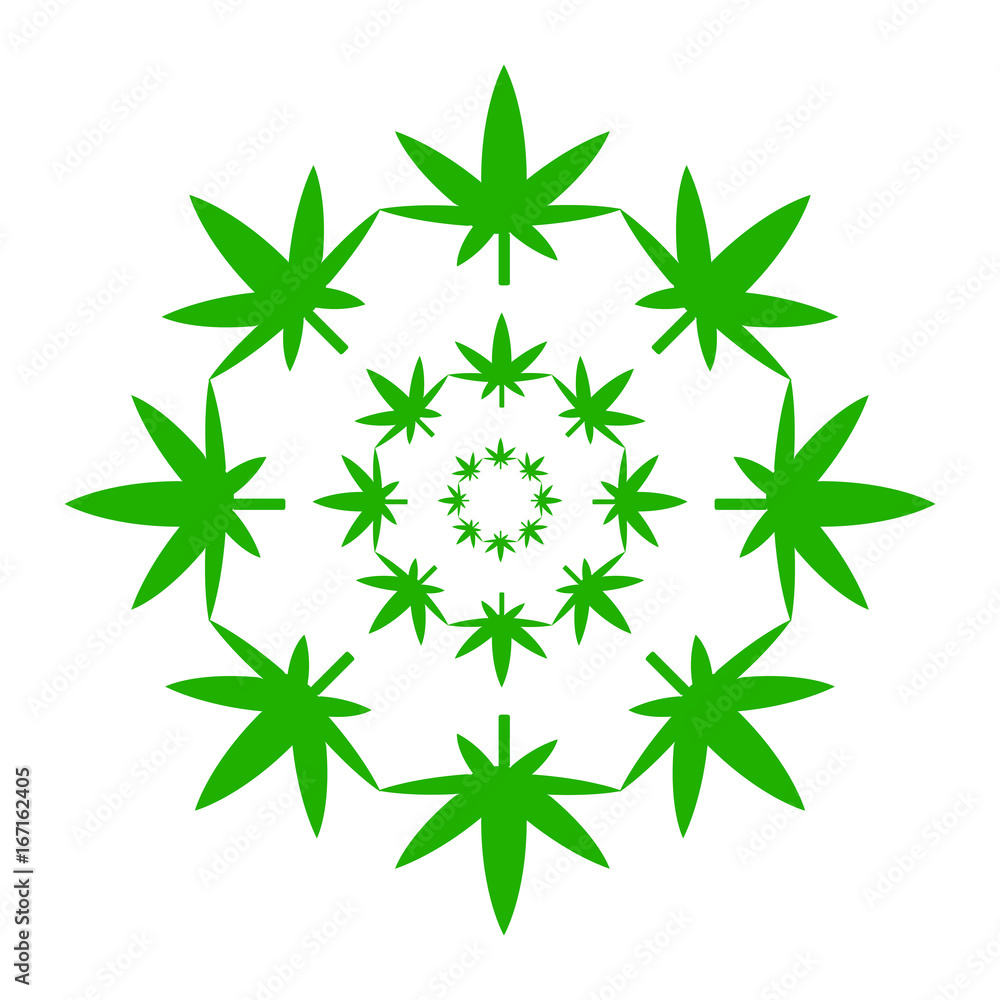 Marijuana green leaves in a circle isolated on white background Marijuana green leaves in a circle isolated on white background