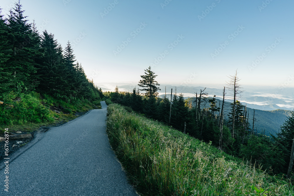 Rising Path Rising Path