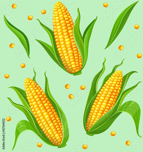 Seamless pattern with yellow corncobs and green leaves. Ripe