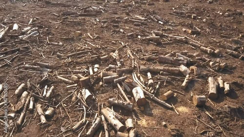 Low aerial flight over bare logged forest floor