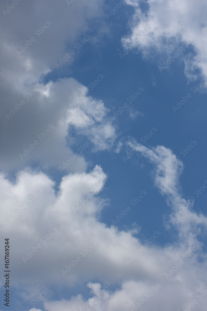 Obraz premium 青空と雲「空想・雲のモンスターたち(あっちやこっちのモンスターの巣で、餌を待つモンスターの子供たち）」営巣コロニー、各々が子育て奮闘中、子育て、育児、ファミリー、などのイメージ