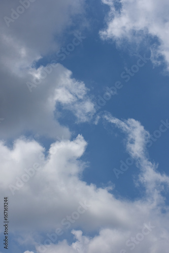 青空と雲「空想・雲のモンスターたち(あっちやこっちのモンスターの巣で、餌を待つモンスターの子供たち）」営巣コロニー、各々が子育て奮闘中、子育て、育児、ファミリー、などのイメージ