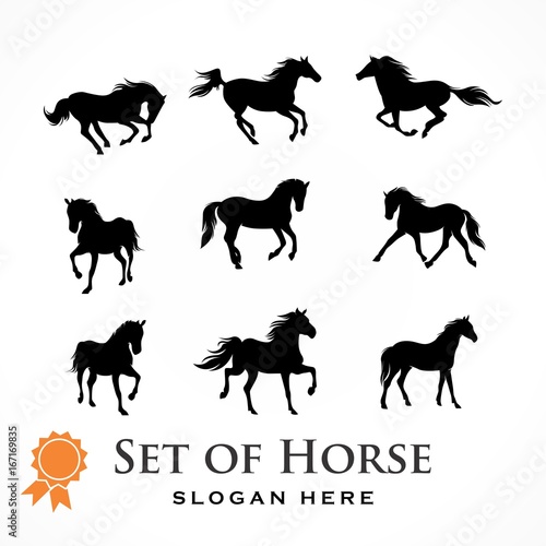 Fototapeta Naklejka Na Ścianę i Meble -  Horse Silhouette Illustration Logo Vector