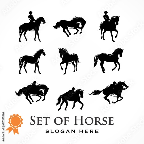 Horse Silhouette Illustration Logo Vector