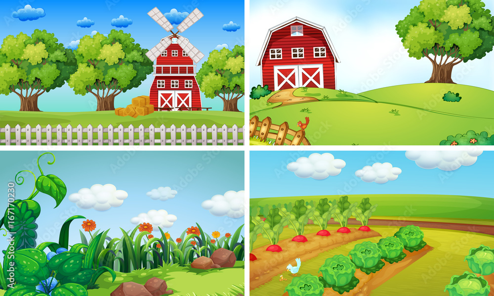 Background scenes with vegetables on the farm Background scenes with vegetables on the farm