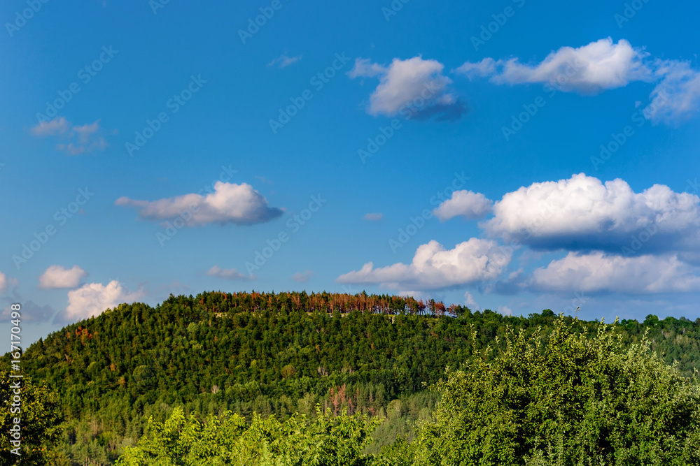 Mountain with green and red trees. Sky with clouds.