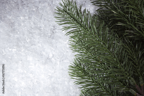 Branches of fir trees in the snow