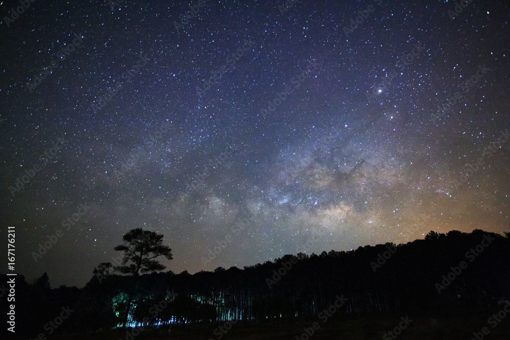 milky way galaxy and silhouette of tree with cloud at Phu Hin Rong Kla National Park,Phitsanulok Thailand