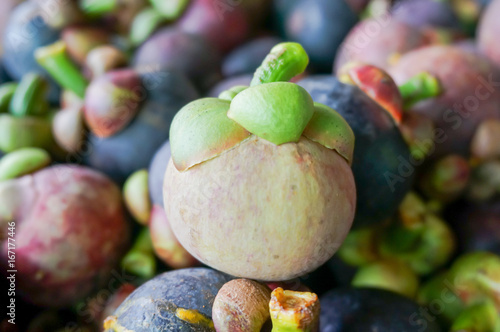 Unripe Mangosteen , selective focus