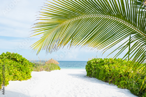 Beautiful Abaco Island, Bahamas  photo