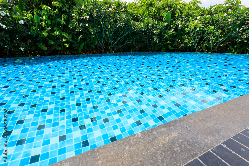 blue swimming pool around with green nature garden