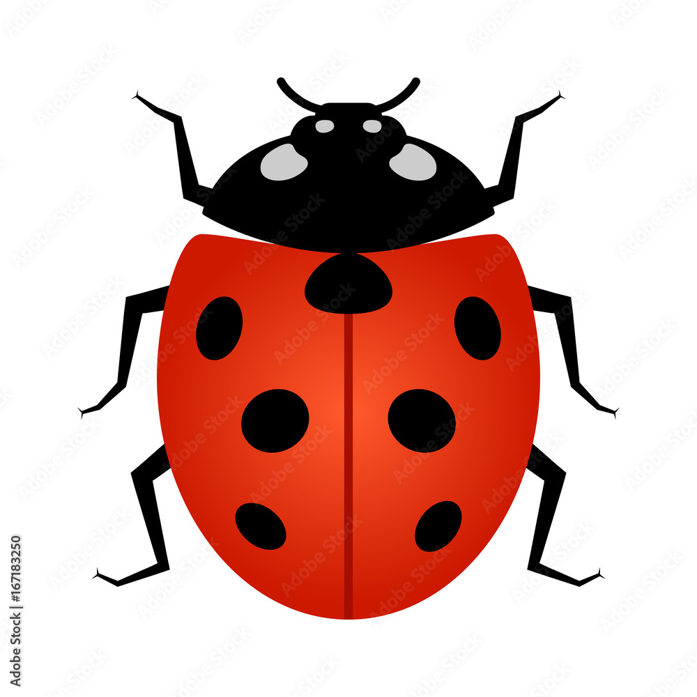 Naklejka premium Coccinellidae Biedronka lub biedronka chrząszcz owad ikona grafiki wektorowej dla aplikacji i stron internetowych poświęconych dzikiej przyrody
