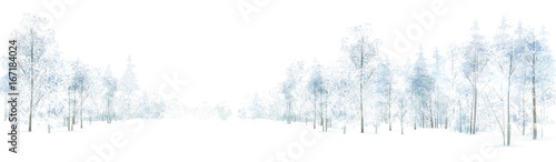 Vector winter  forest background, isolated on white.