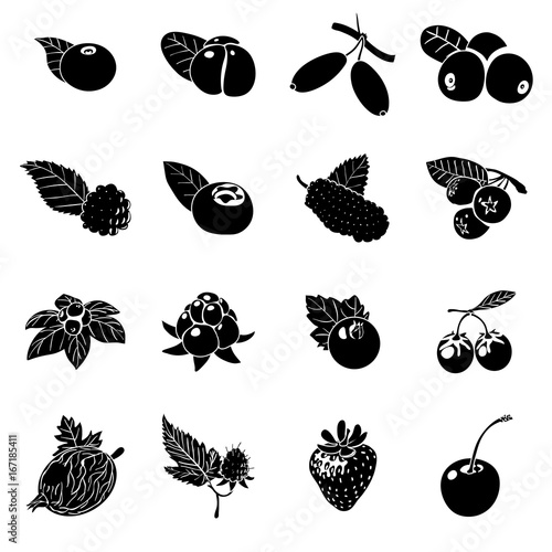 Berries icons set, simple style