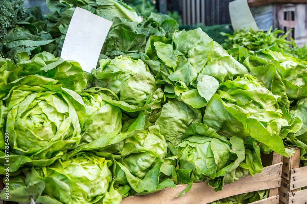 Green lettuce salad on the farm market in the city. Fruits and vegetables at a farmers market Green lettuce salad on the farm market in the city. Fruits and vegetables at a farmers market