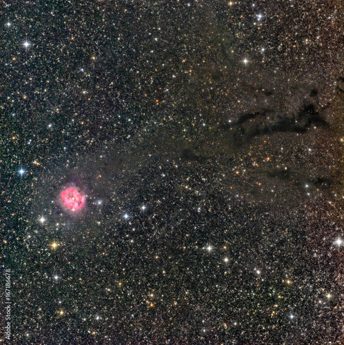 Cocoon Nebula, a bright star forming region in Cygnus surrounded by interstellar dust lanes. Taken with a professional telescope and CCD camera.