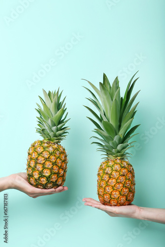 Female hands holding ripe pineapples on mint background