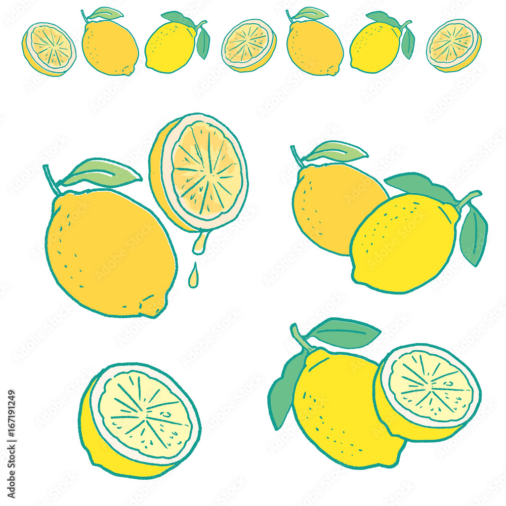 レモン イラスト Stock Vector Adobe Stock レモン イラスト Stock Vector Adobe Stock