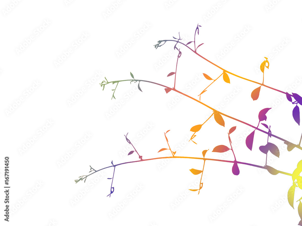 Isolated colorful climbing Ylang-Ylang tendril on white Isolated colorful climbing Ylang-Ylang tendril on white