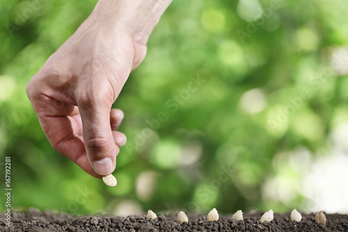 Photo hand sowing seeds in the vegetable garden soil, close up on green background