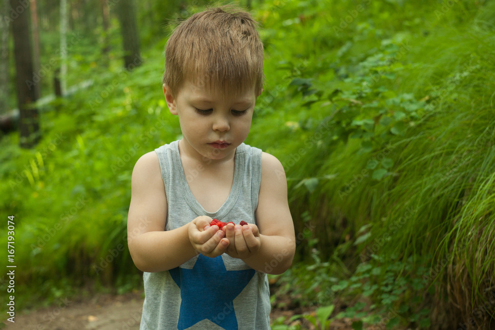 Close-up of boy holding in hands fresh wild berries picked at organic farm Close-up of boy holding in hands fresh wild berries picked at organic farm