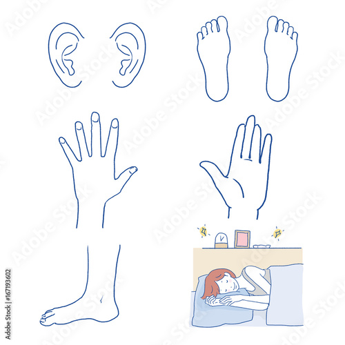 ボディパーツ　イラスト