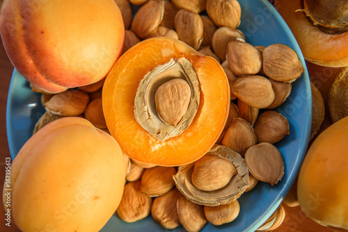 Papier peint Apricot almond kernel seed