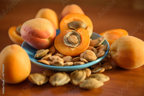 Photography Apricot almond kernel seed