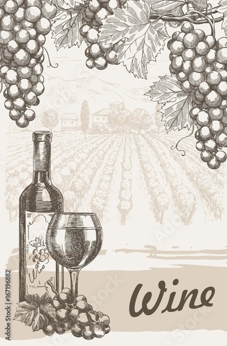 Winemaking. A bottle of red wine and a bunch of grapes on a vineyard background