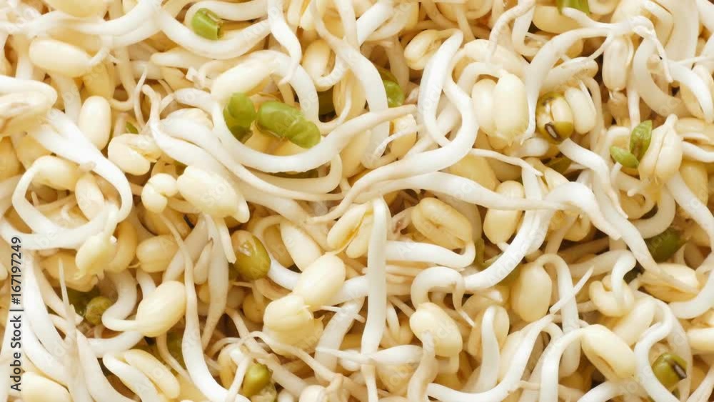 Bean Sprouts Background,rotating Bean Sprouts Background,rotating