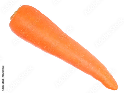 bright orange carrot on white