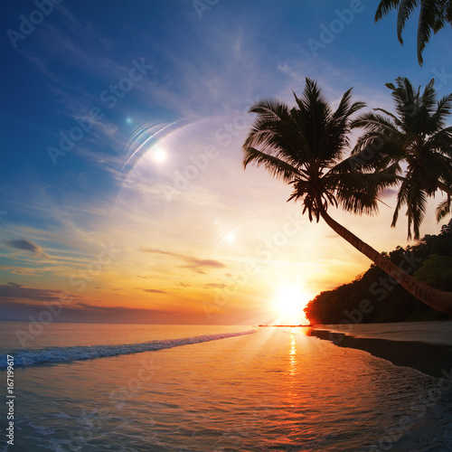 Tropical beach paradise with palm trees at sunset time and reflections on water surface