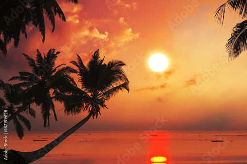 Fototapeta Naklejka Na Ścianę i Meble -  Tropical beach with palm trees at sunset time and reflections on water surface.