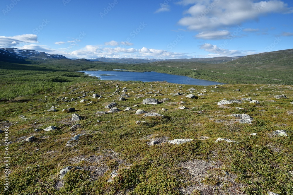 Naklejka premium Rocky landscape with mountains in Lapland, Malla National Reserve