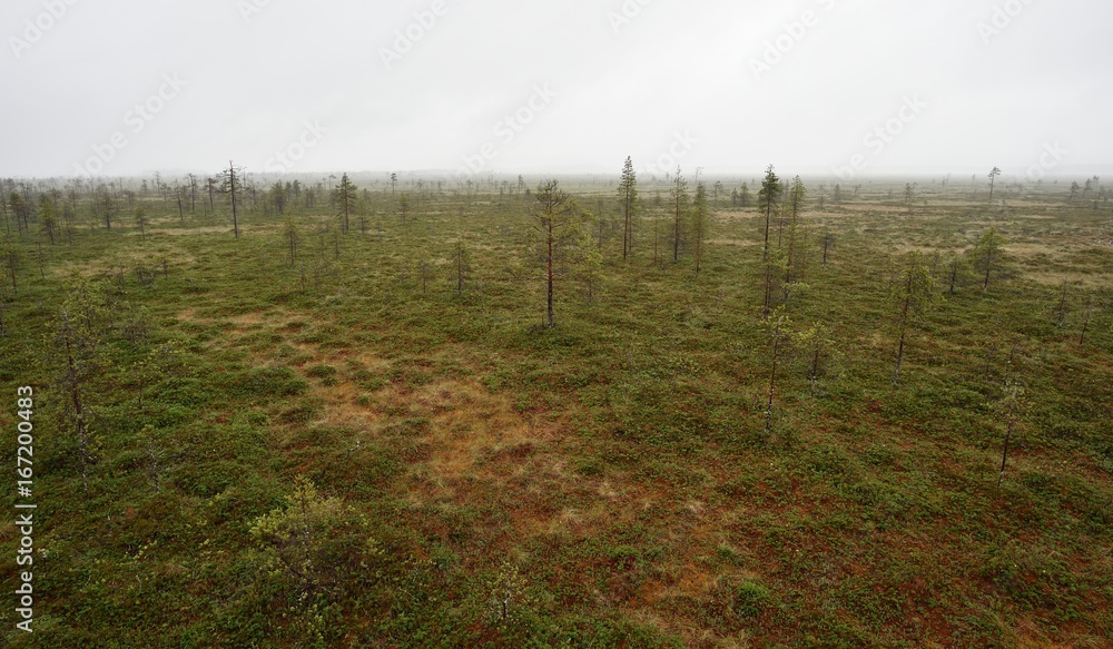 Swamp area in Martimoaava, Northern Finland, Lapland