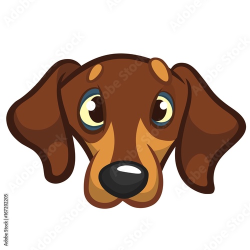 Cartoon Vector Illustration of Cute Purebred Dachshund Dog. Dog head icon. Isolated on white background