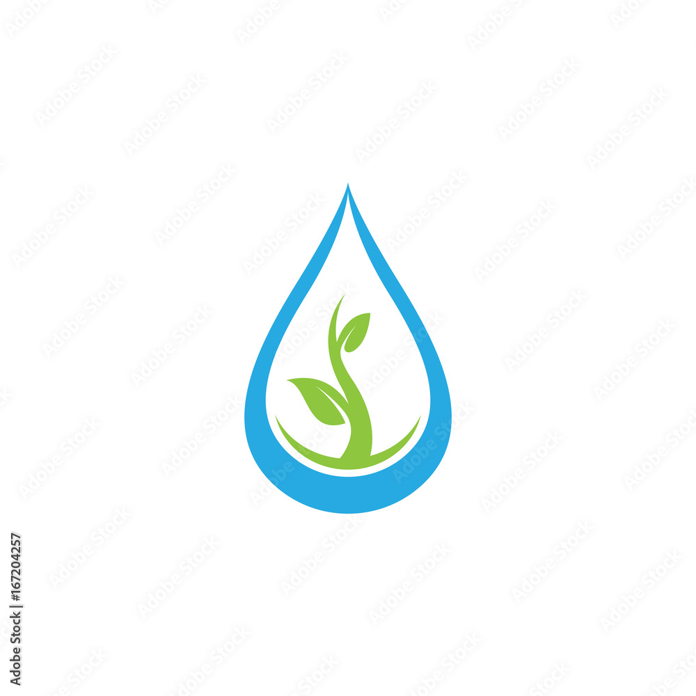 growth plant drop water growth plant drop water