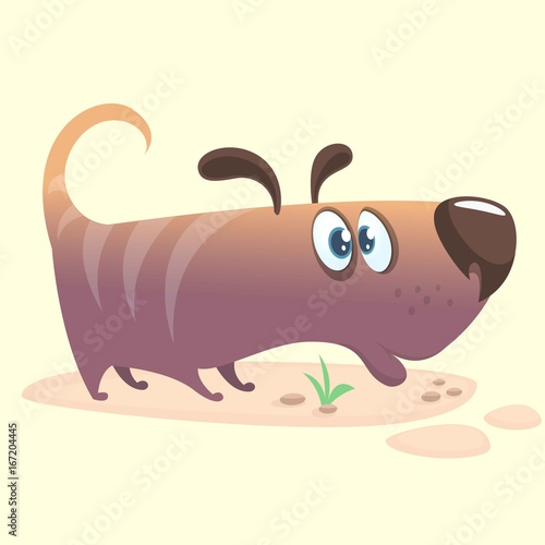 Cartoon Vector Illustration of Cute Purebred Dachshund. Doggy icon. Isolated on white background