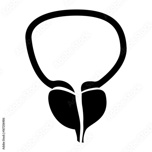 The prostate gland and bladder black color icon .