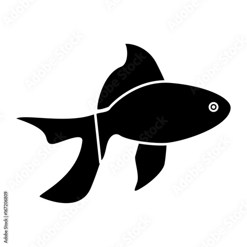 Fish black color icon .