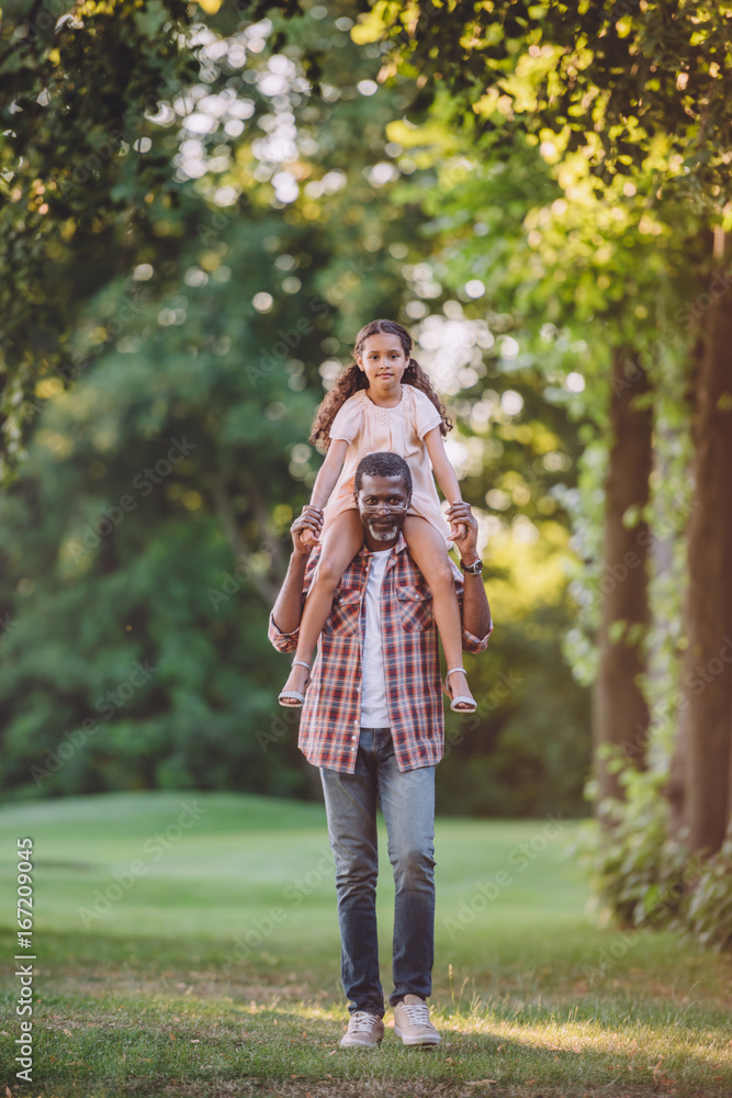 african american grandfather caring his granddaughter on shoulders in park african american grandfather caring his granddaughter on shoulders in park
