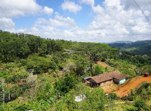 Bauernhaus im Urwald auf Kuba, Karibik 